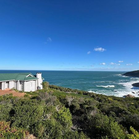 Blue Whale Resort George Bagian luar foto