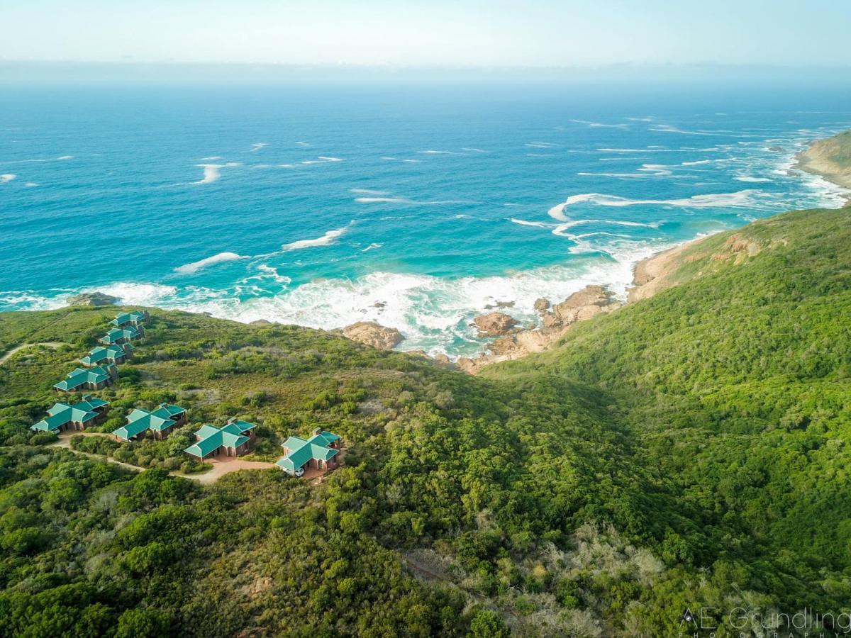 Blue Whale Resort George Bagian luar foto