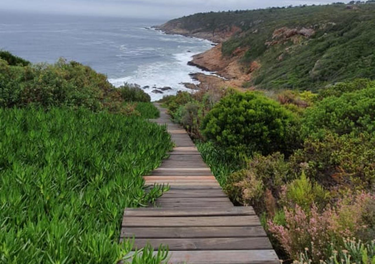 Blue Whale Resort George Bagian luar foto