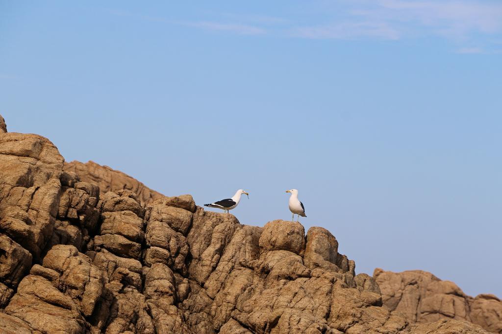 Blue Whale Resort George Bagian luar foto