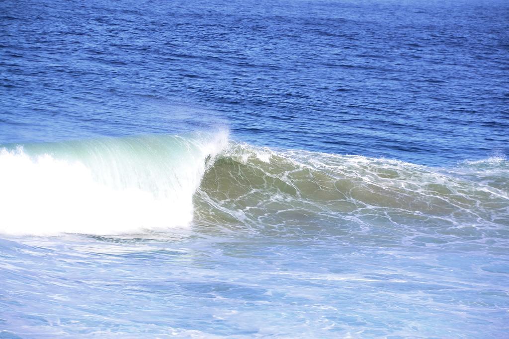 Blue Whale Resort George Bagian luar foto