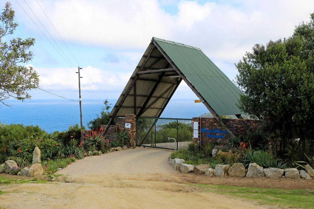 Blue Whale Resort George Bagian luar foto